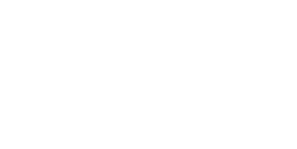 Realitat o Ficció Aplaer W