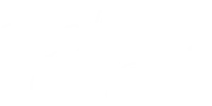 Realitat o Ficció Aplaer W